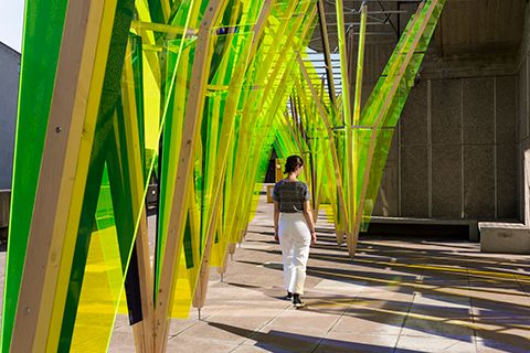 The Hop by Jyll Bradley- Hayward Gallery, London