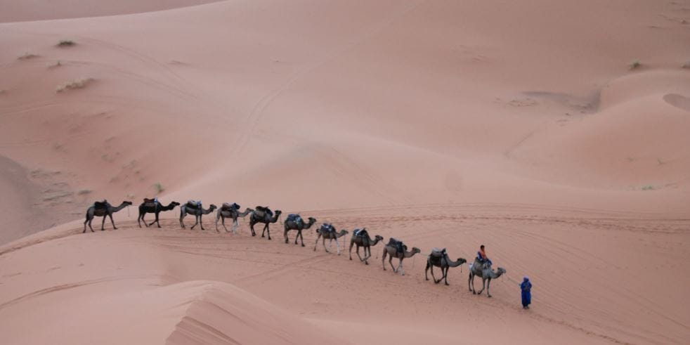 person riding camel