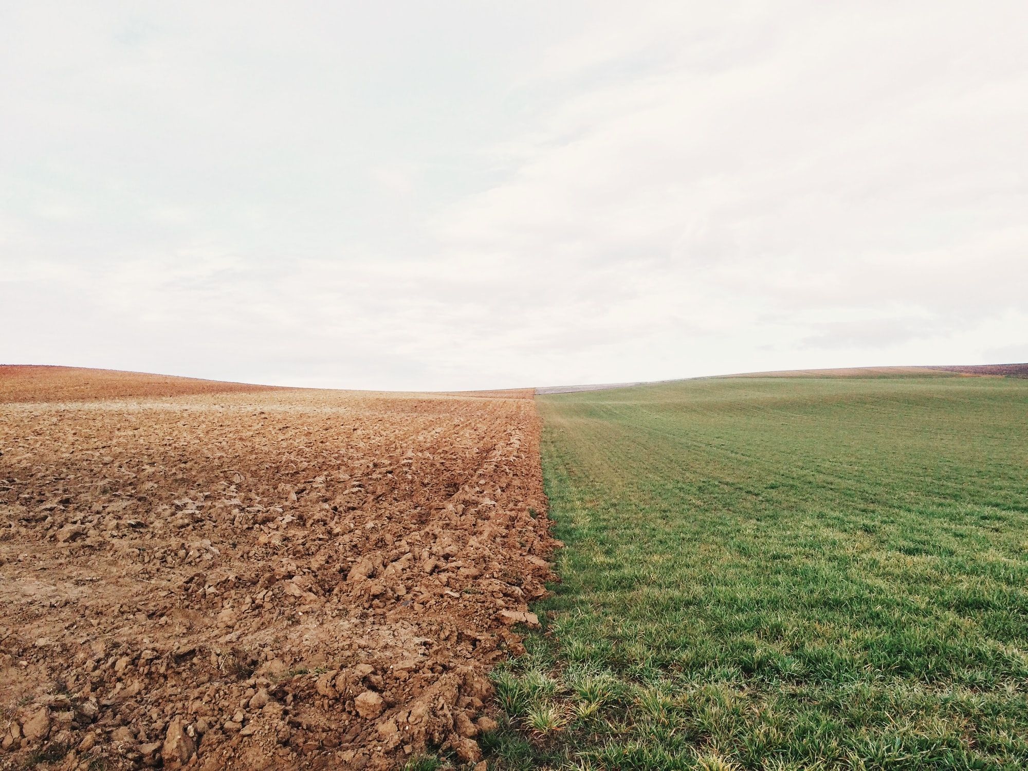 Brown and green fields