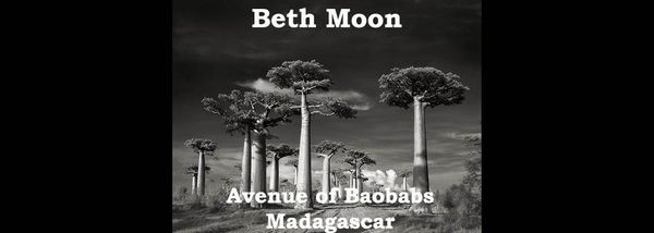 Beth Moon: Portraits of Baobabs