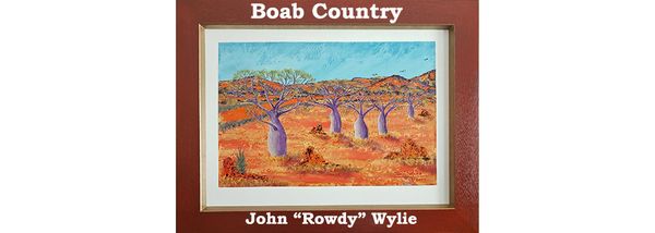 Fascination with the Aussie boab tree