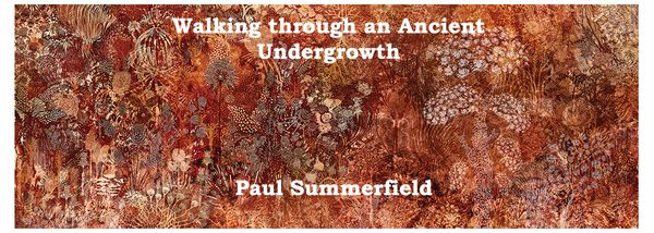 Paul Summerfield: Fishing for Dreams