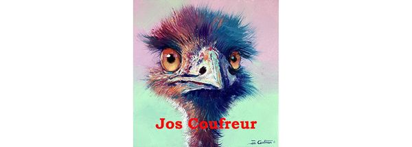 Vote for Your Favourite Emu Portrait