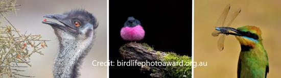 Photography Award Winners 2021