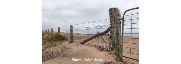 Fences, Posts and Gates - Storyline to Country: Focus on Gates