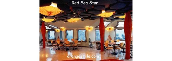 Pub scenes from around the world: the Red Sea Star in Israel
