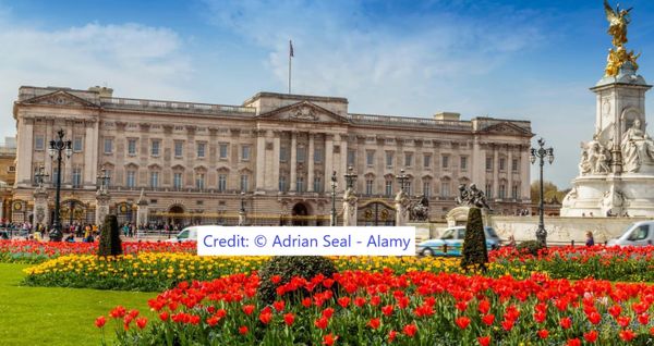 Magnificent Mansions - Buckingham Palace