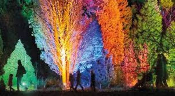 An immersive garden experience after dark – “Lightscape”