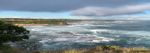 Coastal Capers