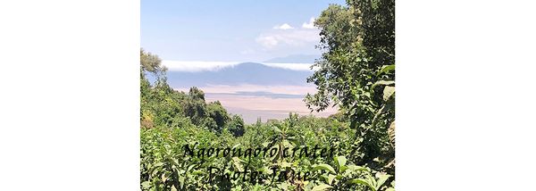 Jane visits life in Ngorongoro Crater, Tanzania