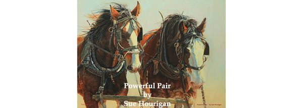 Sue Hourigan: Part One