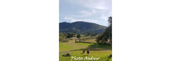 Reflection: Hunter Valley Region of New South Wales