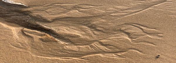 Sandy Shapes on the Shores