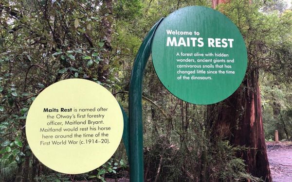 Maits Rest - Otway Ranges