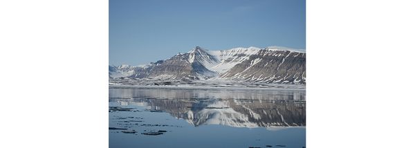 Reflecting on Mother Nature's Patterns: Coast