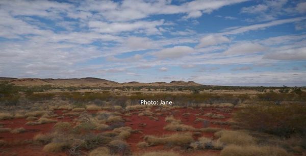 The Australian Outback