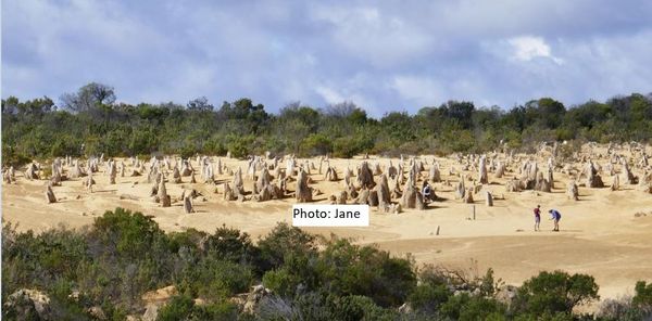 The Pinnacles - Western Australia