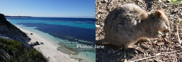 Rottnest Island - Western Australia