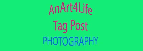 TagCloud Day: Photography