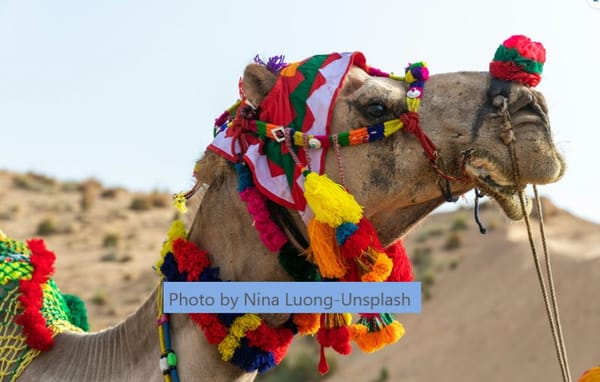 Beauties of the Desert