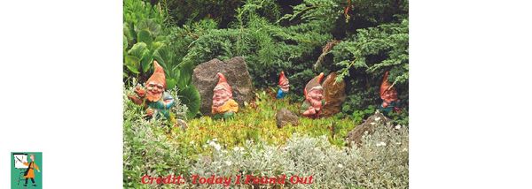 Does your Garden Need a Gnome?