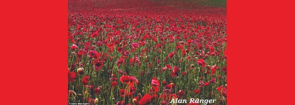 Remembrance Day 2018