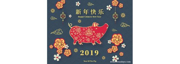 Year of the Pig