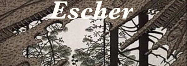 Escher- Reflections, Crystals & Platonic Solids