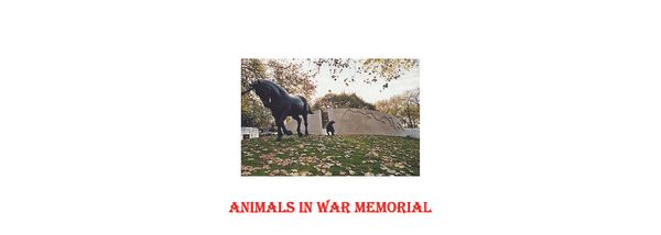 Remembering Our Wonderful Animals