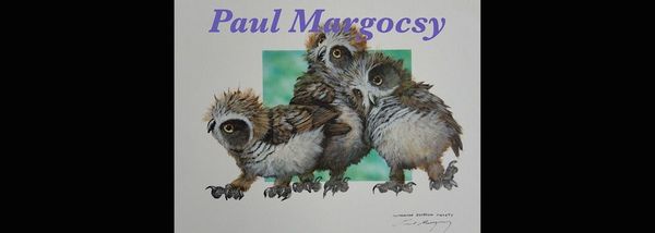 Birds by Paul Margocsy