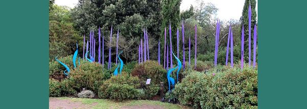 Dale Chihuly at Kew Gardens: Reflections on Nature