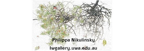 Philippa Nikulinsky AM - A celebrated Australian wildlife artist