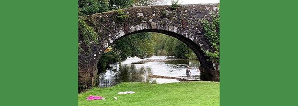 Dartmoor National Park: A Kaleidoscope of Light and Colour