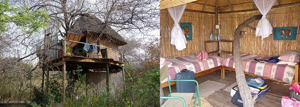 Escape to a Tree house in Africa