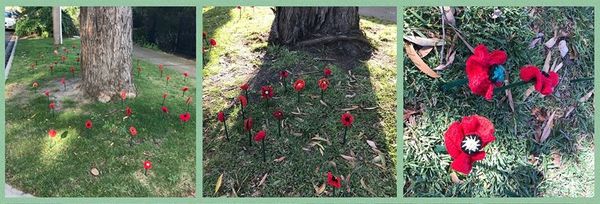 Reflections on ANZAC DAY 2020
