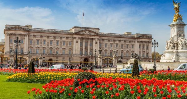 Magnificent Mansions - Buckingham Palace