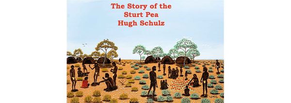 Hugh Schulz: Visual Narrator Part 2