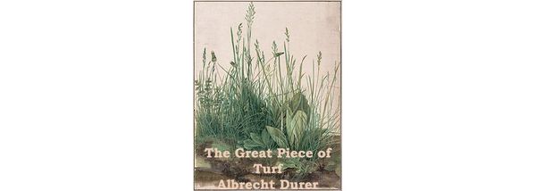 Great Piece of Turf by Albrecht Durer